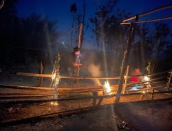 Polisi Bakar Arena Judi Sabung Ayam di Perbatasan Enrekang-Toraja