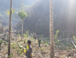 Satu Hektar Lahan Kebun Warga di Mengkendek Terbakar Berasal dari Pembakaran Rumput Kering