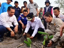 Pemkab Sidrap Siapkan 1.500 Hektar Lahan untuk Budidaya Pisang