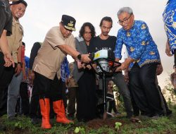 Pemkab Gowa Siapkan Lahan 3.600 Hektar untuk Budidaya Pisang Cavendish