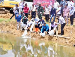 Tingkatkan Ketahanan Pangan, 50.000 Benih Nila Dilepas di Embung  Mare Kabupaten Bone