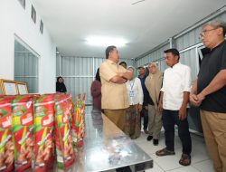 Didampingi Wakil Ketua DPRD Sulsel, Pj Gubernur Bahtiar Tinjau Pabrik Pengolahan Keripik Pisang Loka Sidenreng