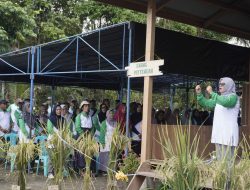 Wujudkan Petani Organik Berdaya, IGP Morowali Hadirkan Sekolah Lapang Organik