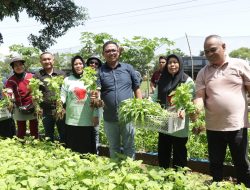 Kadis Pertanian Palopo Dampingi Pj Wali Kota Sosialisasi Tanam Cabai dan Sayur