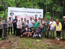 Jaga Kelestarian Kawasan Geopark, 10 Ribu Pohon Sukun Bakal Ditanam di Rammang-rammang