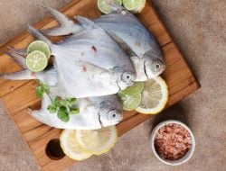 Ini 5 Ikan yang Harus Dihindari Bagi Penderita Kolesterol