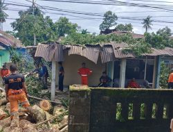 Tiga Rumah Tertimpa Pohon di Jaya, BMKG: Akhir Pekan Palopo Diselimuti Awan dan Diguyur Hujan