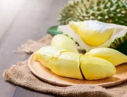 Ini Makanan yang Perlu Dihindari Disantap Bersama Durian