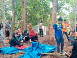 DLH Siapkan 200 Bibit Pohon untuk Ditanam di Bukit Lewadang