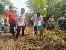 Pj Wali Kota Palopo Apresiasi DLH yang Sukses Kawal Penanaman 200 Bibit Pohon di Bukit Lewadang