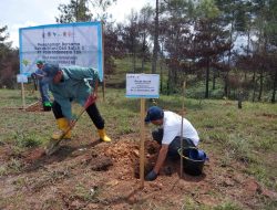 PT Vale Rehabilitasi DAS di Tana Toraja, Tanam 424 Ribu Bibit Pohon