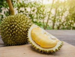 Hati-hati! Orang dengan Penyakit Ini Disarankan Jangan Makan Durian