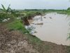 Jaga Produksi 2024, Kementan Gercep Tangani Lahan Terdampak Banjir