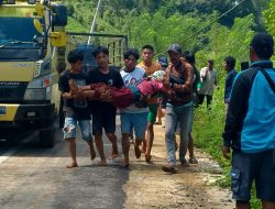 Longsor di Bonglo Kabupaten Luwu, 1 Warga Ditemukan Tewas