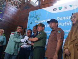 Perkuat Ekonomi Sirkuler di Rammang-rammang, PT Vale Donasi 5.000 Bibit Pohon