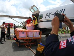 Distribusi Logistik Pemilu di Luwu Utara Pakai Pesawat
