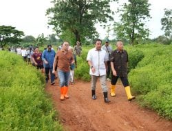 Pj Gubernur, Wali Kota dan Bupati Maros Kompak Tinjau Lahan Stadion di Makassar