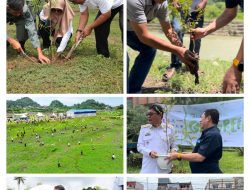Galesong Group Sumbangkan 1.000 Bibit Pohon kepada Panitia HUT ke-77 Gereja Toraja