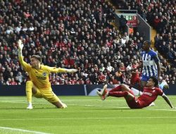 Hasil Liga Inggris: Liverpool vs Brighton 2-1, The Reds Comeback, Salah Cetak Gol