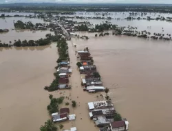 Banjir dan Tanah Longsor Juga Landa Sidrap, Jembatan, Sapi, hingga Rumah Hanyut, Satu Korban Meninggal