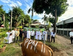 Bagi-bagi Daging Kurban 88 Ekor Sapi dan 48 Ekor Kambing di Ring I Unit Operasi PT Pertamina Patra Niaga Sulawesi