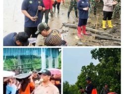 DLH Palopo Prakarsai Tanam Pohon, Pj Wali Kota: Mari Jaga Lingkungan dari Bencana
