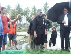 Di Tengah Guyuran Hujan, Mentan Amran Turun Langsung Tinjau Lokasi Kunker Presiden Jokowi di Bone