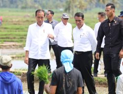 Petani Sebut Jokowi dan Mentan Amran Berkah Bagi Kemajuan Pertanian Indonesia