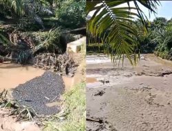 Banjir Lumpur Dua Dusun di Desa Lagego Burau, Lihat Penampakannya….