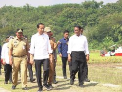 Presiden Jokowi Keliling Sulsel Dua Hari, Pertama Kali ke Bone Kampung Halaman JK, Ini Agenda Lengkapnya