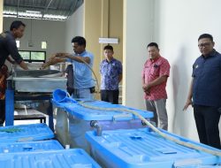Pemkot Palopo Produksi Sagu Marasa, akan Diekspor ke Jepang