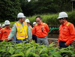 Wakil Menteri BUMN: PT Vale Berhasil Jawab Tantangan di Era Keberlanjutan