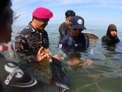 DPRD Provinsi Sulsel Inisiasi Dibuatnya Perda Khusus Pengelolaan Terumbu Karang Berbasis Masyarakat