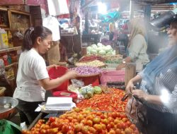 Harga Tomat dan Cabai Kompak Turun