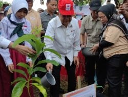 Ingatkan Ancaman Bencana Kemanusiaan Akibat Perubahan iklim, Jusuf Kalla: Tanam Minimal Satu Juta Pohon Satu Tahun