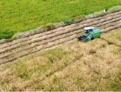 BUMN Siap Perkuat Program Cetak Sawah Kementan di Merauke untuk Ketahanan Pangan Nasional