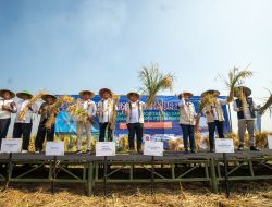 Optimalkan Hasil Panen Program Makmur, Pupuk Indonesia Terapkan Teknologi Pertanian Presisi Dalam Budidaya Padi di Subang