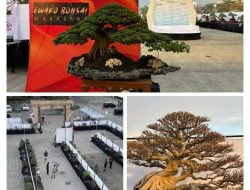 Ayo Kunjungi dan Saksikan Pameran Ewako Bonsai 2024 di Makassar, Ada 404 Pohon Bersaing