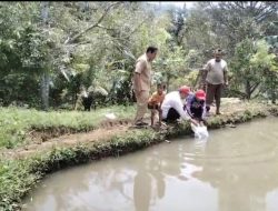 Tingkatkan Produksi Perikanan, Reformer PKA Lutim Implementasikan Inovasi “Si Arwana Merah”