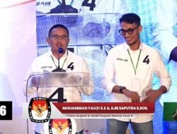 Ditanya Soal Maju Pilkada Tinggalkan DPR, Abang Fauzi Beri Jawaban Tegas