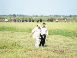 Cetak Sawah Berjalan Lancar, Masyarakat Papua Ucapkan Terima Kasih Kepada Presiden Prabowo Subianto