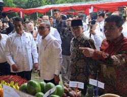 Gerakan Nasional Pangan Merah Putih, Sinergi Wujudkan Swasembada Pangan