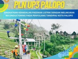 Tingkatkan Keandalan Pasokan Listrik, PLN Lakukan Reconductoring pada Penyulang Tandipau Palopo