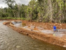 Normalisasi Sungai Bahopenila untuk Keberlanjutan, PT Vale Tegaskan Komitmen Lingkungan di Proyek Pengembangan Morowali