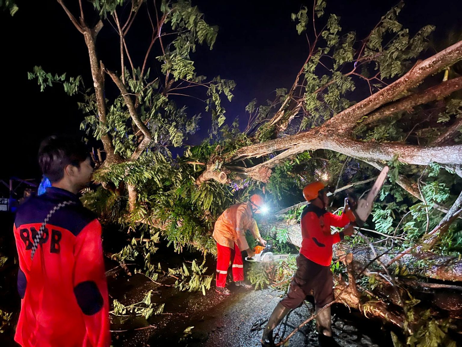 Dihantam Angin Kencang Rumah Rusak Pohon Tumbang Tutup Badan Jalan