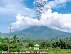 Gunung Lewotobi Laki-Laki di Flores Timur Meletus, Delapan Warga Meninggal