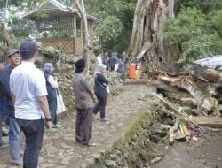 Datang Gelar Sesajen, 9 Wisatawan Tewas Tertimpa Pohon di Soppeng