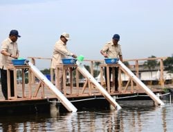 Prabowo Kunjungi Tambak Ikan Nila Salin di Karawang