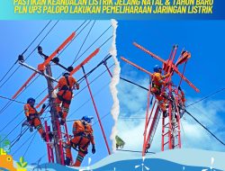 Pastikan Keandalan Listrik Jelang Natal & Tahun Baru, PLN UP3 Palopo Lakukan Pemeliharaan Jaringan Listrik