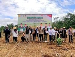 Petani Sawit di Lebak Wujudkan Ketahanan Pangan dengan Padi Gogo